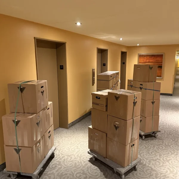 Boîtes de déménagement regroupées sur des chariots