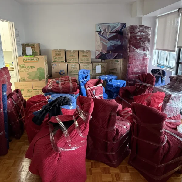 Fauteuils protégés et boîtes préparées dans un logement